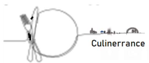 Culinerrance
